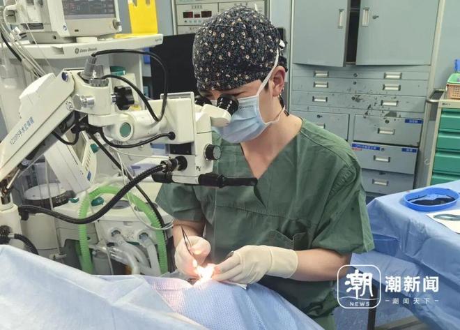 欧陆娱乐登录：痛心！树龄1200年古樟持续燃烧7小时，只因俩小孩随手扔爆竹……